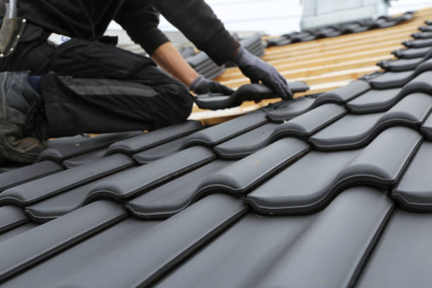 Best Roof Ventilation Installation  in USA